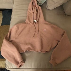 UrbanOutfitters Champion Cropped Hoodie Sweatshirt